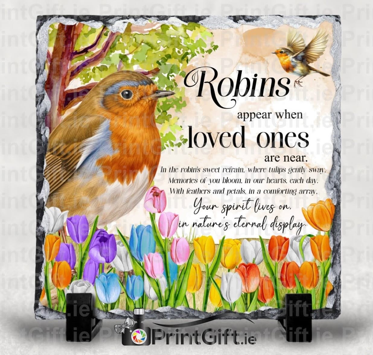Robins Appear Memorial Slate